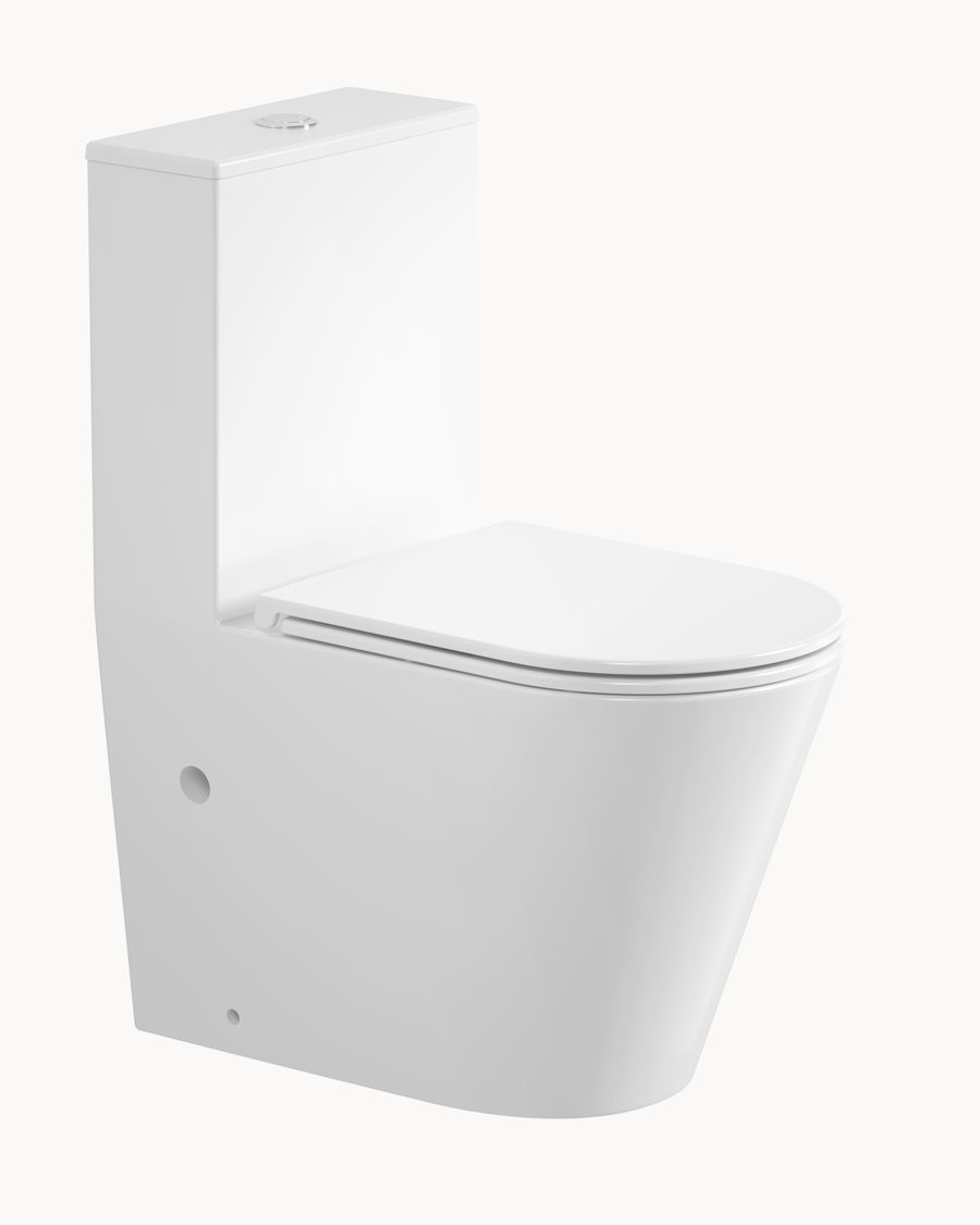 Toilet Series