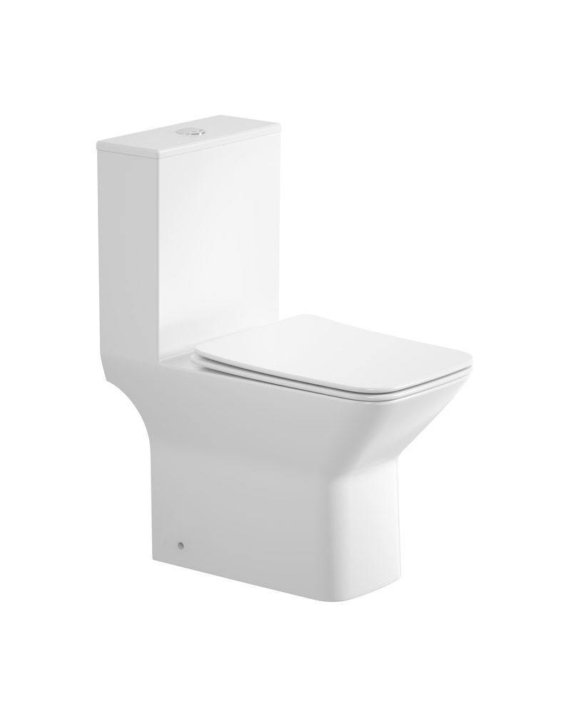 FF-W002 Washdown One-Piece Toilet